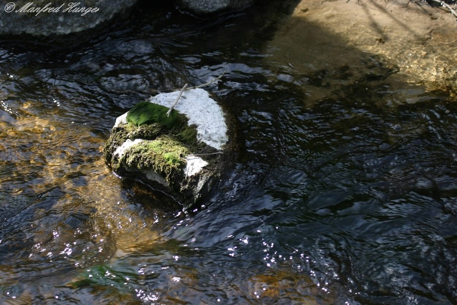 Fließendes Wasser trifft Stein :-))