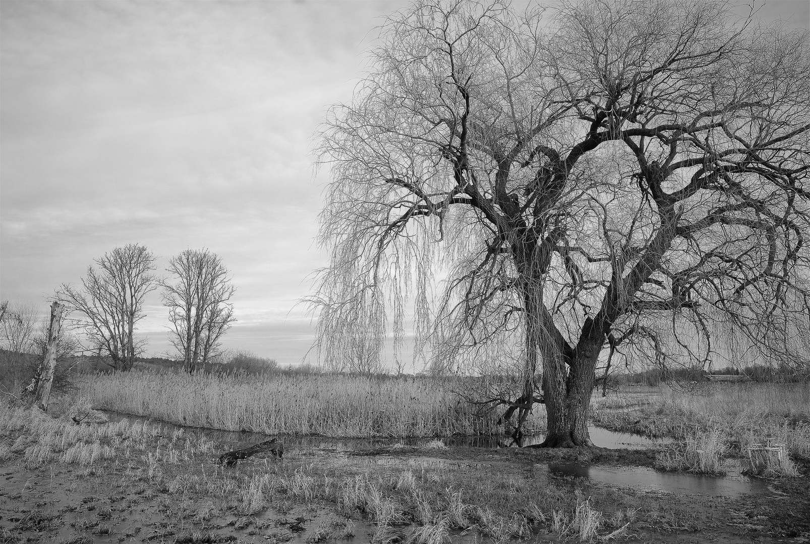 Fließlandschaft I