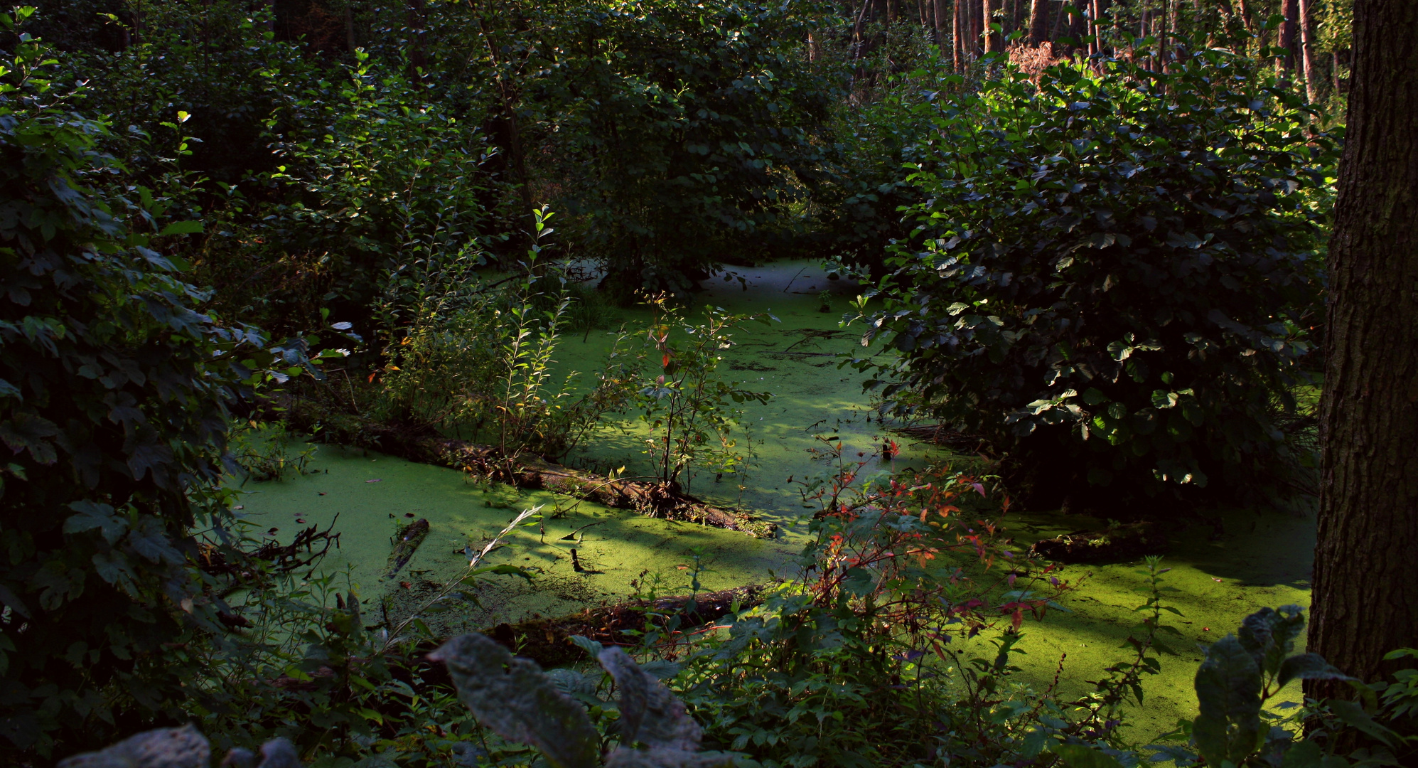 Fließwiese Ruhleben