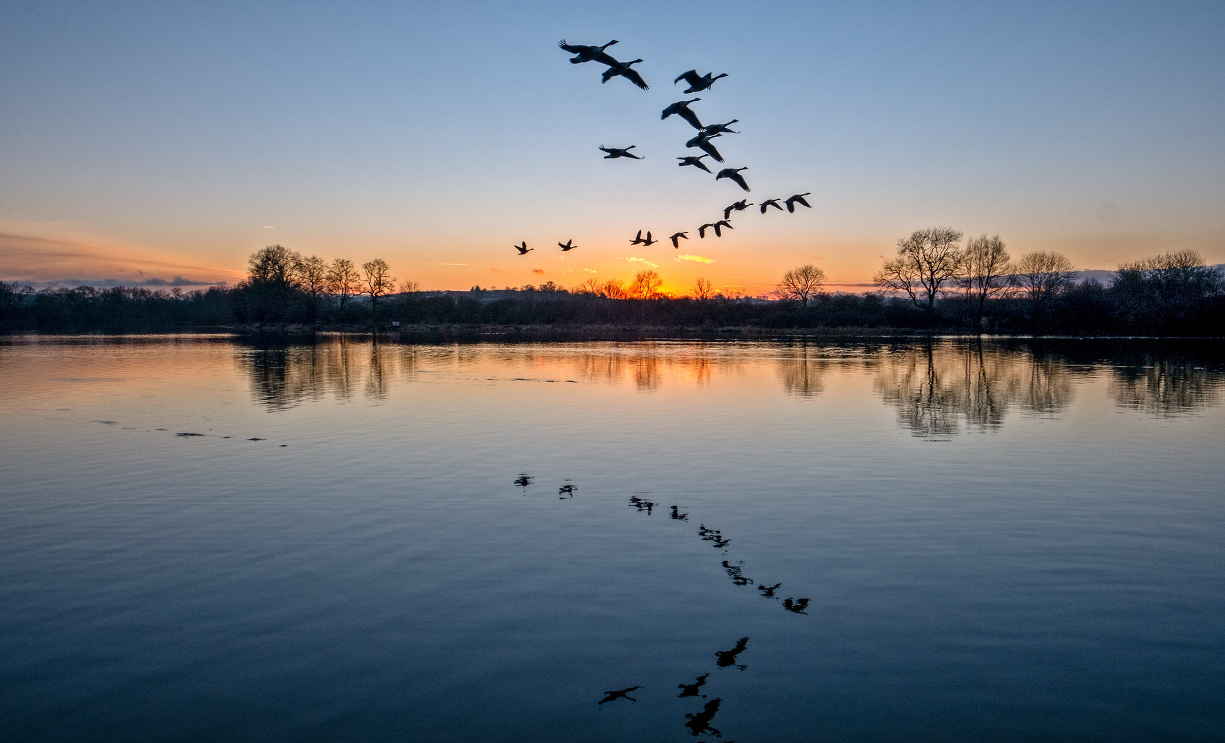 Flight at dusk