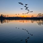 Flight at dusk