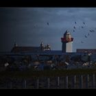 Flight, Mutton Lighthouse