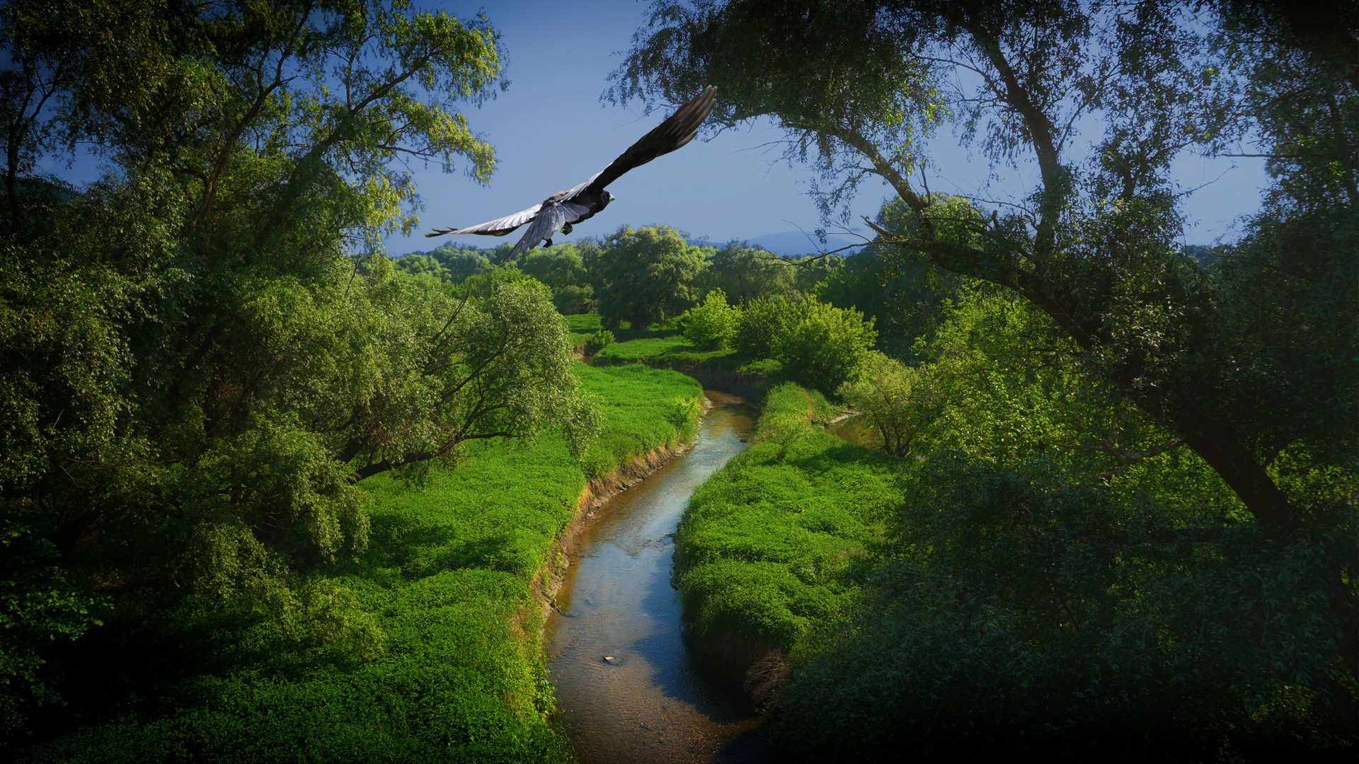 Flight of Crows