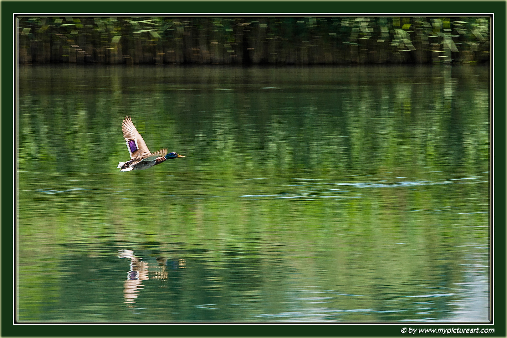 Flight over the Limmat