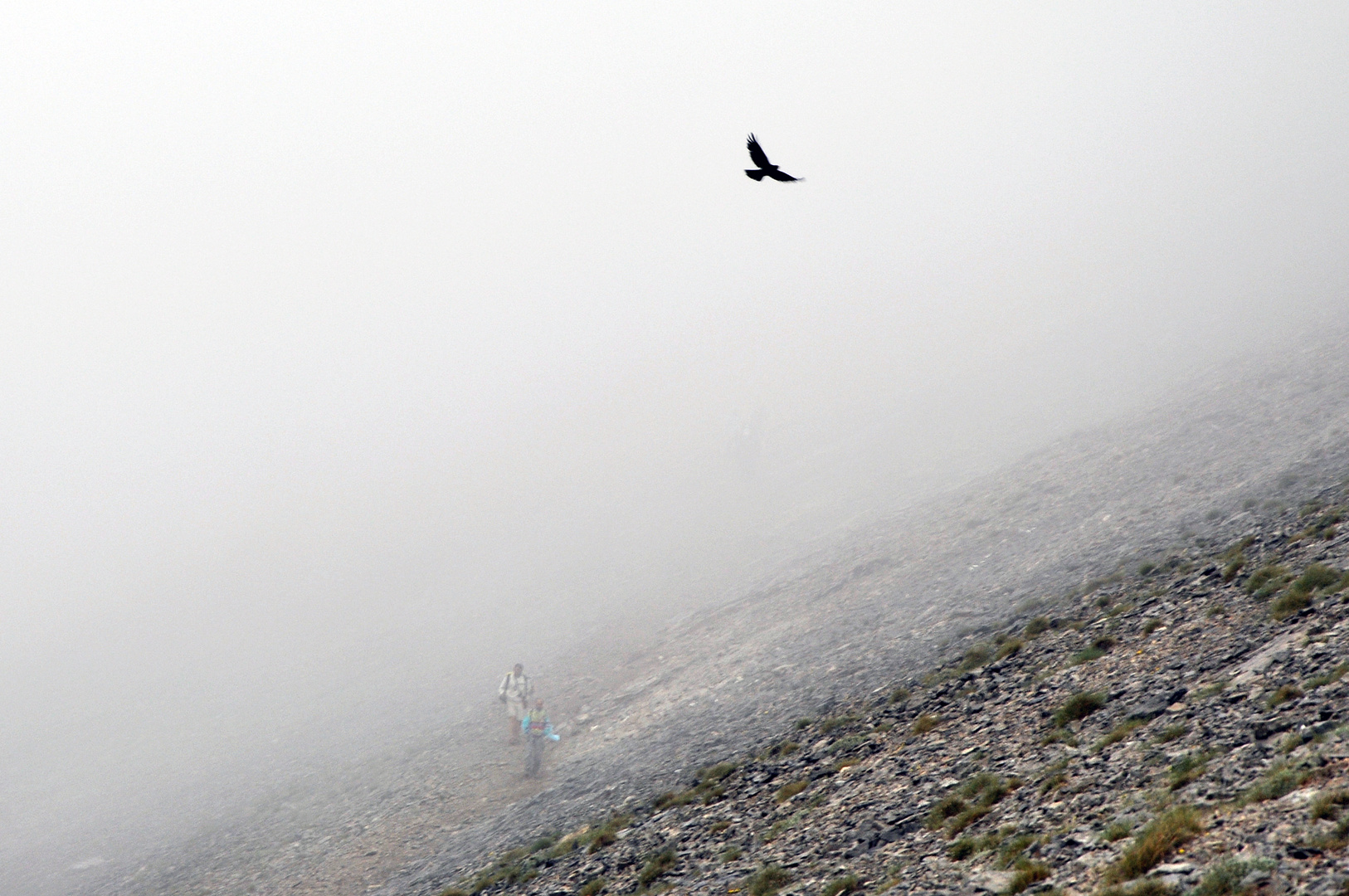 Flight over the mist