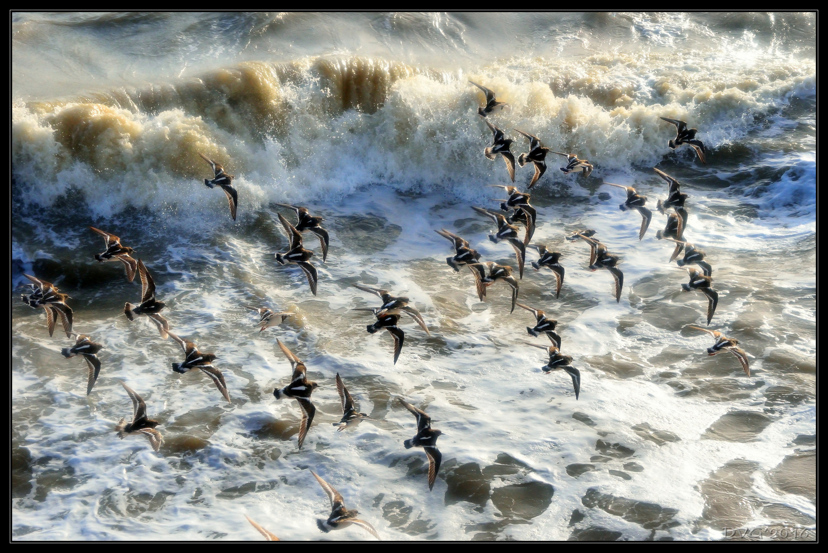 Flight over the wave