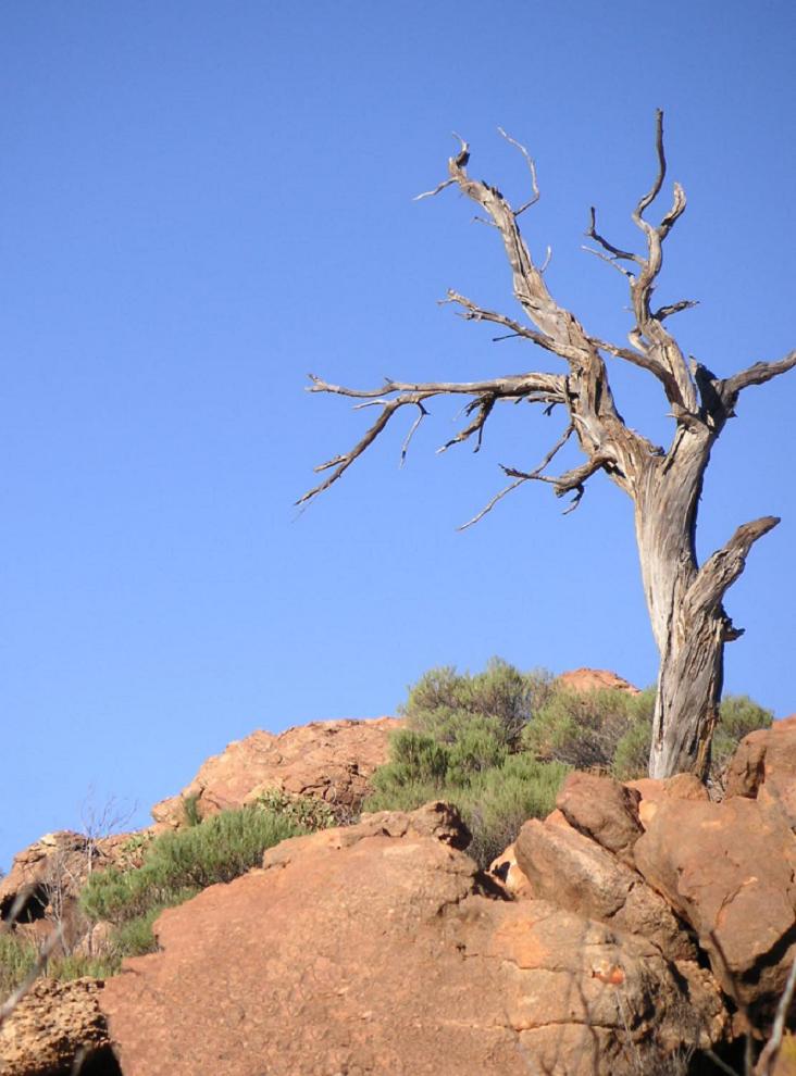 Flinder Ranges