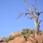 Flinder Ranges