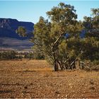 flinders range national park