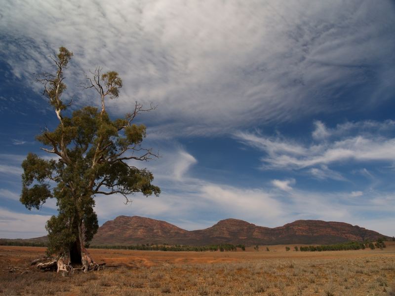 Flinders Ranges