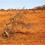 flinders ranges nationalpark