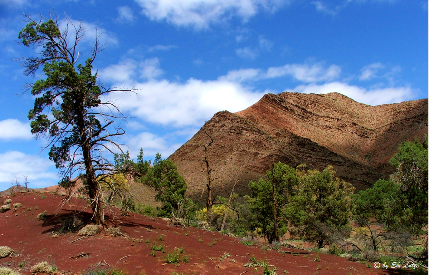 ***Flinders Ranges on the Heysen Trial *** Foto & Bild | flinders