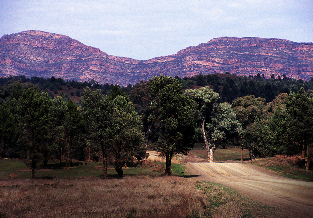 Flinders road