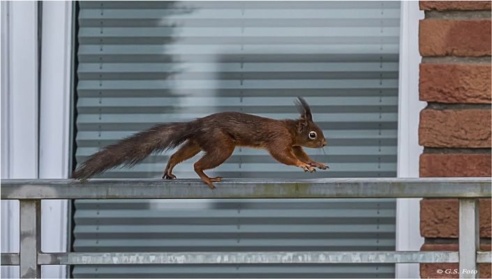 Flink und laulos .....