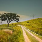 Flint Hills