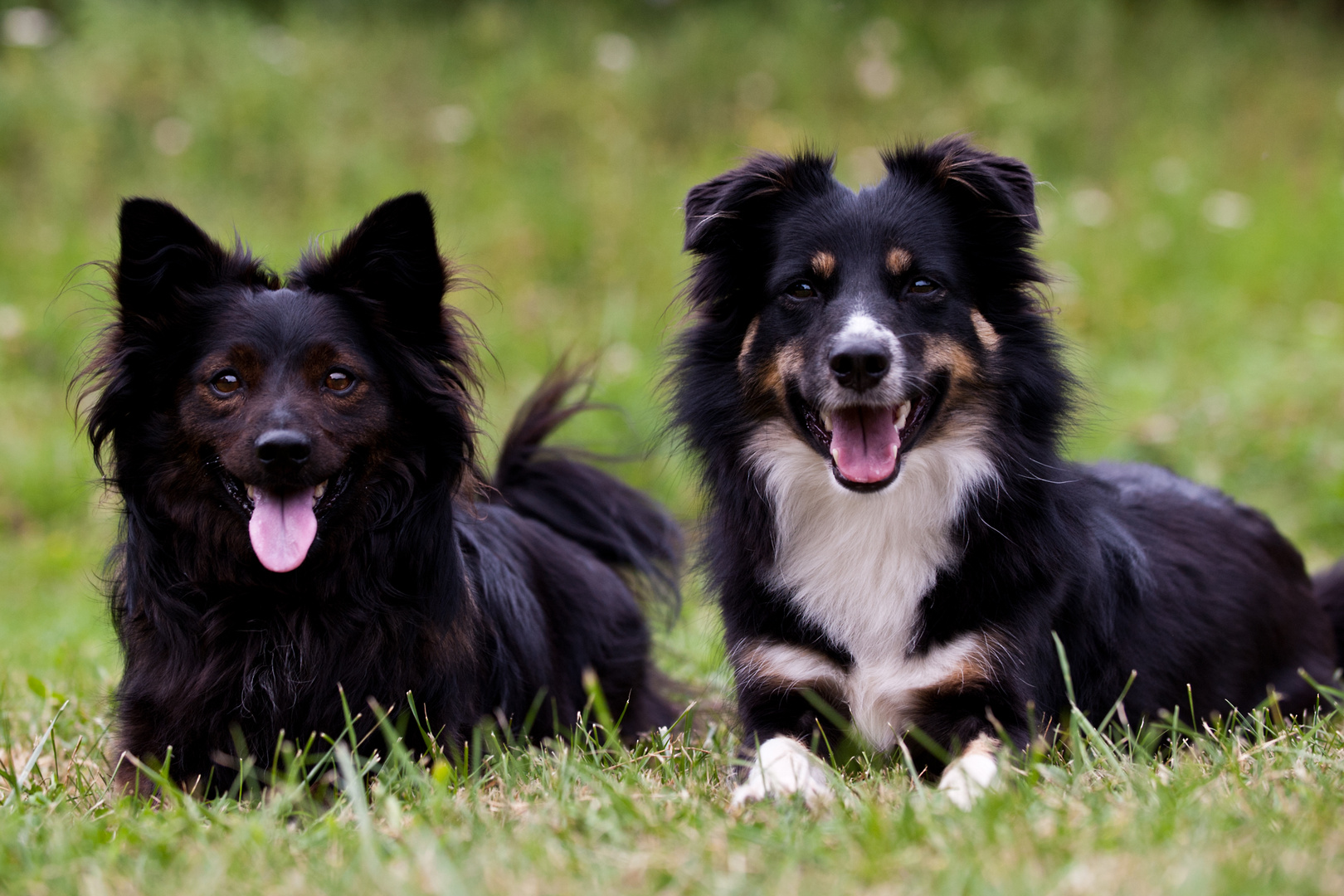 Flip und Stella