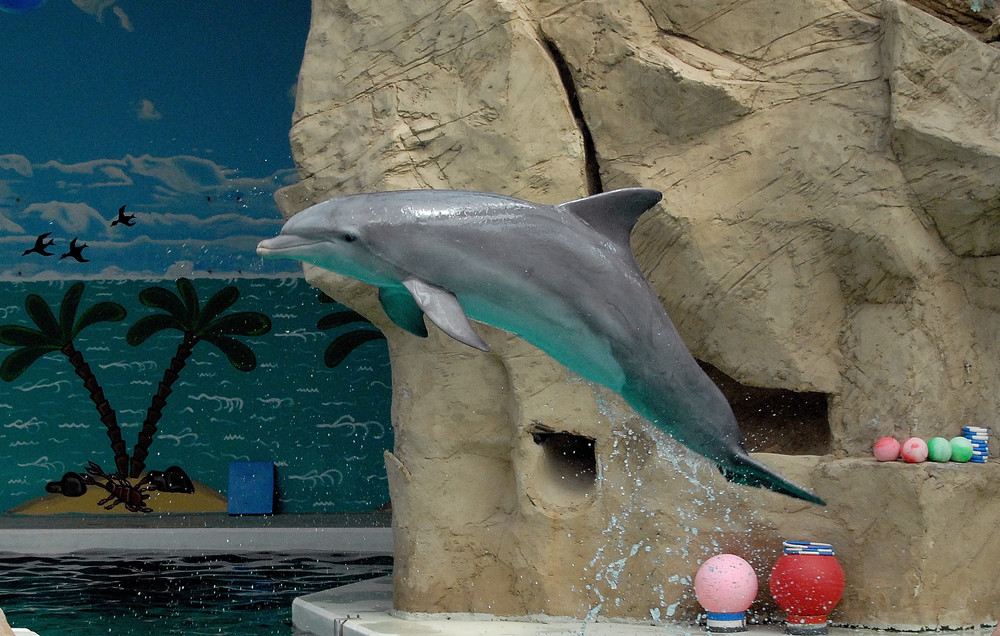 Flipper! :D