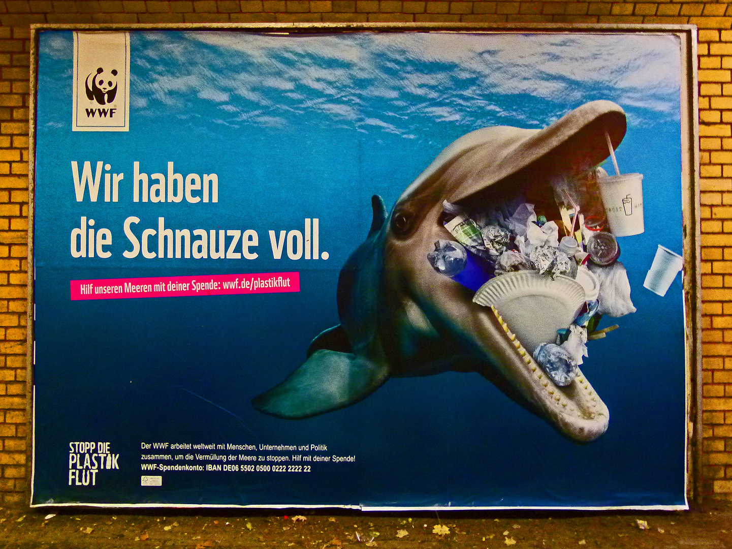 Flipper hat die Schnauze voll