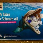 Flipper hat die Schnauze voll