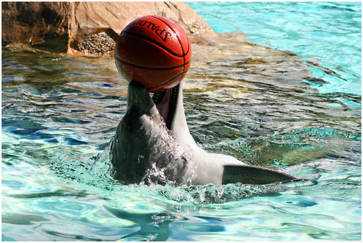 Flipper mit Ball