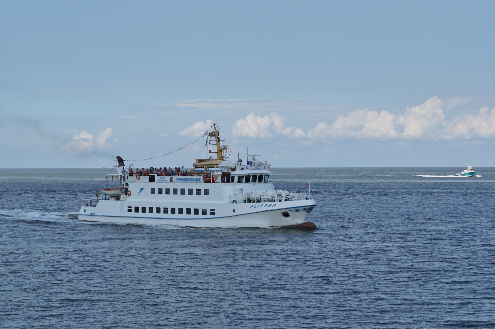 Flipper vor Cuxhaven 