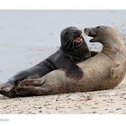 Flirt am Strand....