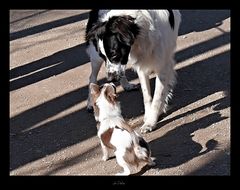 Flirt im Park