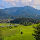 Flirt vor Hochfelln