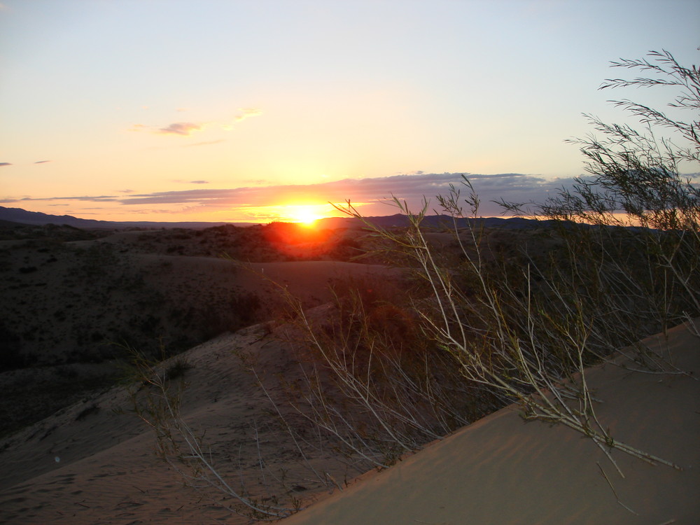 Flitterwochen Mongolei 2006