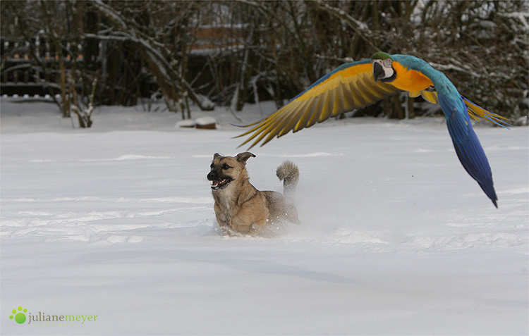 Flitzer ....stolz wie Bolle