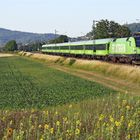 Flixtrain an der Bergstraße