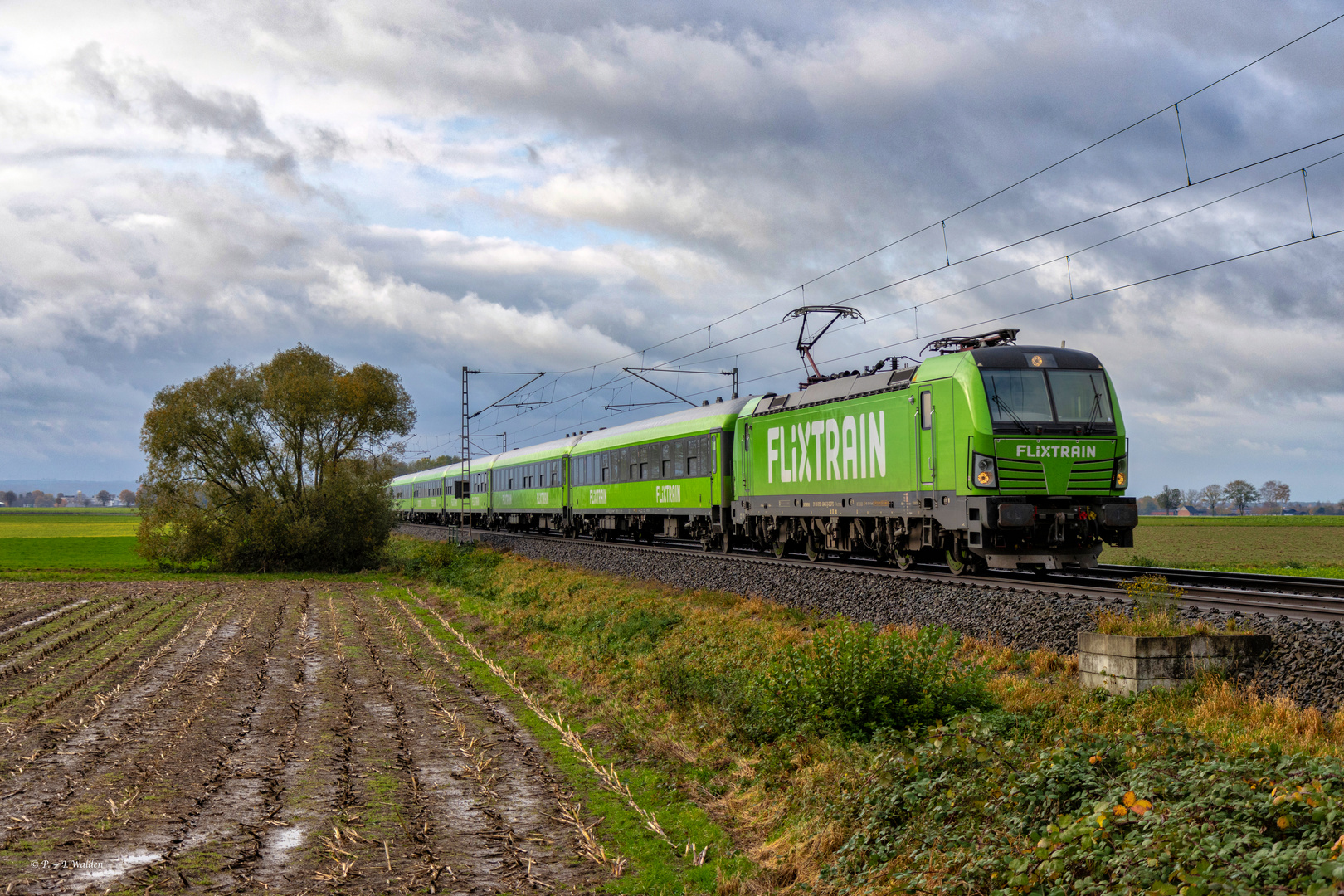 Flixtrain auf Abwegen Foto & Bild züge, dampf, diesel und eloks