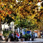 Flâner au Panier (2)