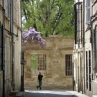 Flâner dans les ruelles d'Arles ...
