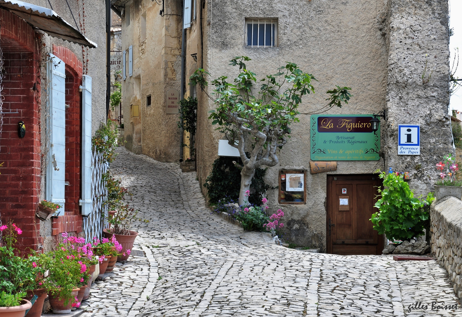 flâner dans les ruelles de Séguret