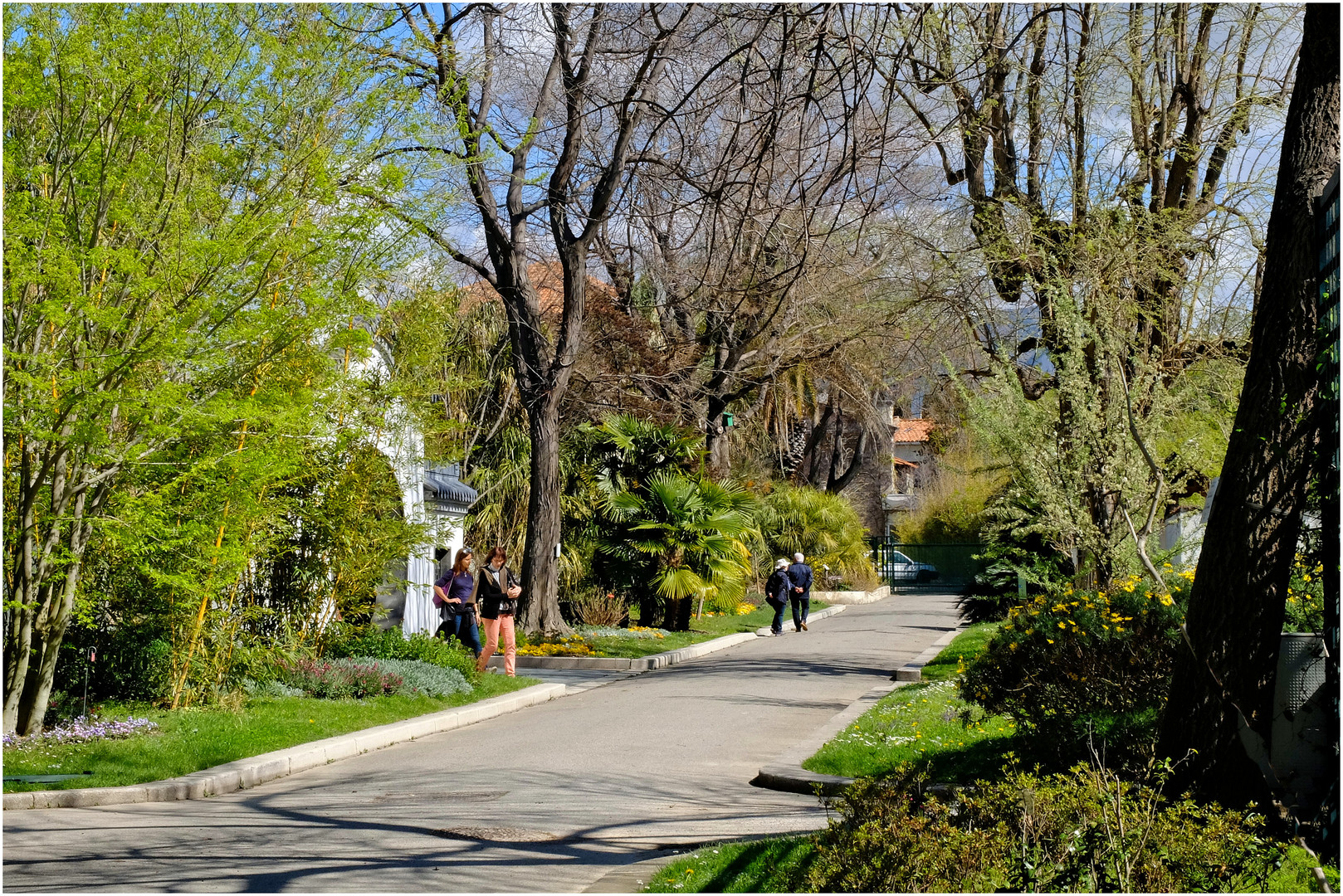 Flânerie au parc