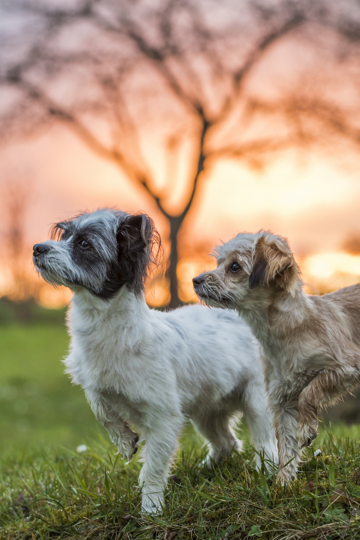 Flo und Lilly