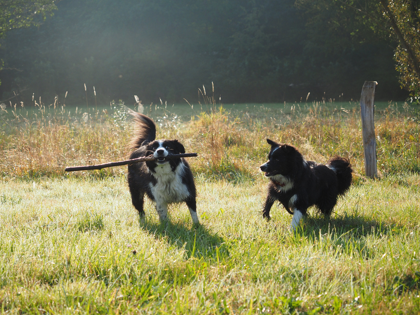 Flo und Zoe