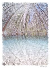 - floating and reflecting winter wood -