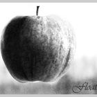 Floating Apple.....