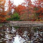 Floating Bridge