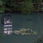 Floating Cube Arlesheim