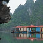 Floating fishing village in Halong bay