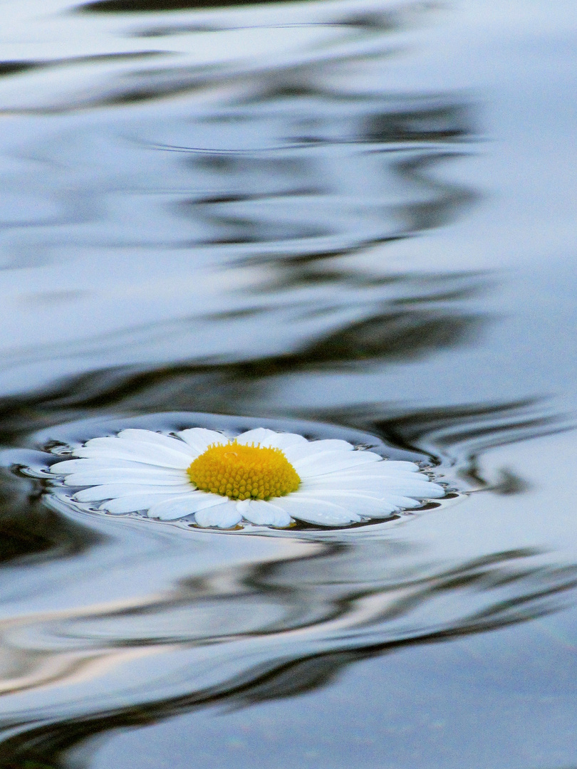 Floating flower