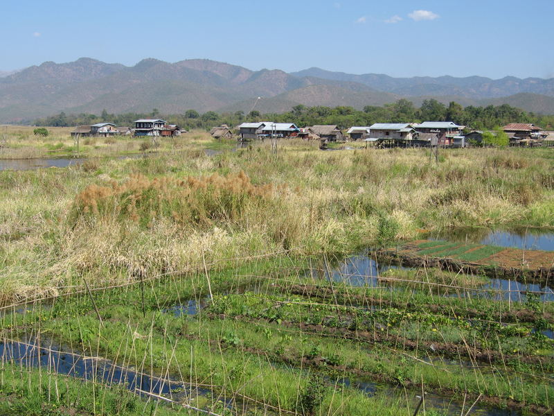 Floating Garden Inle Lake