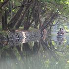 floating in the backwaters