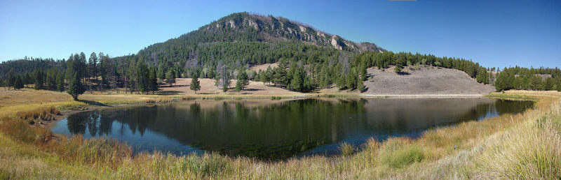 Floating Island Lake