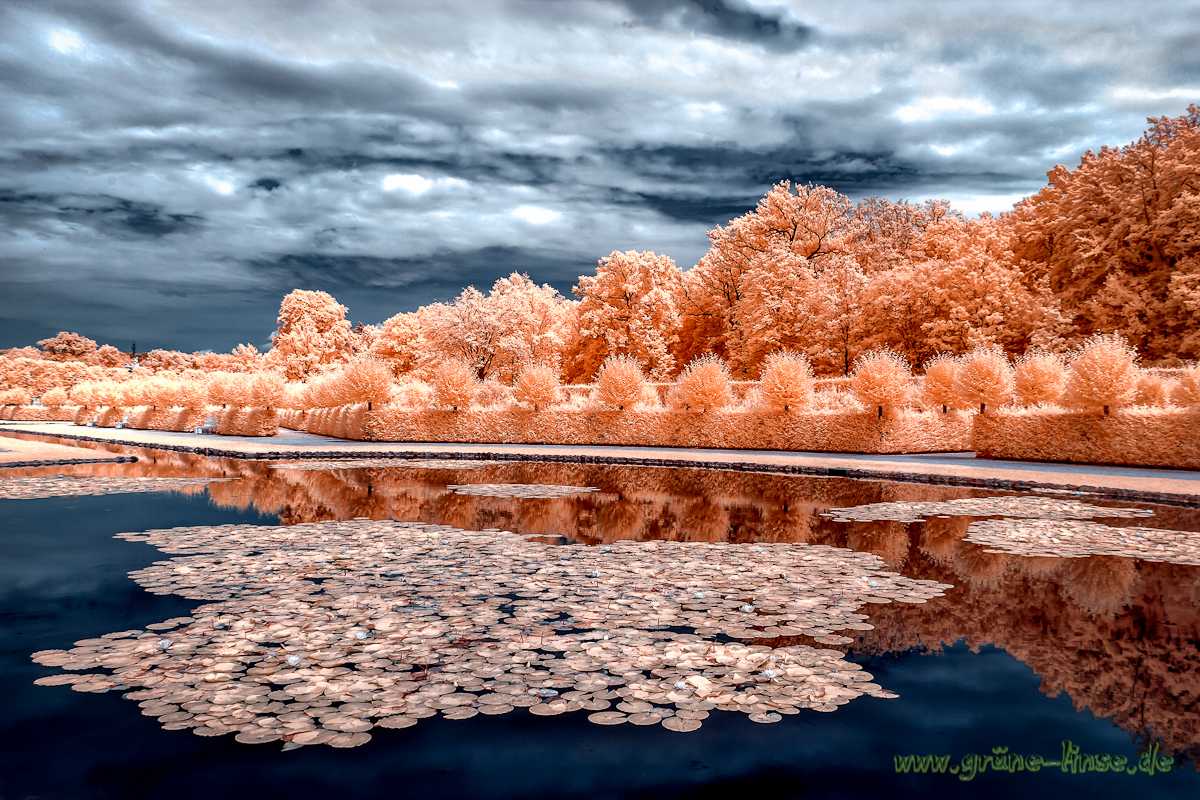 Floating leaves