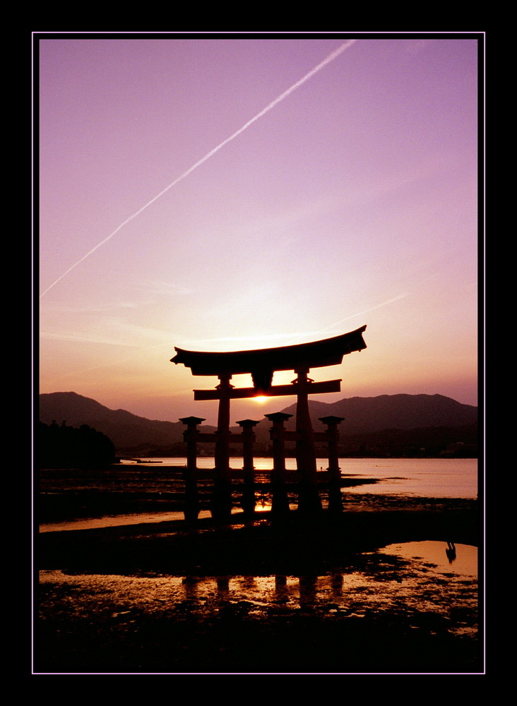 floating tori of Miyajima