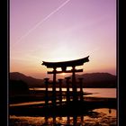 floating tori of Miyajima